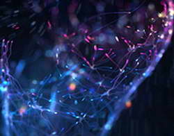 Валютный рынок, Daily history за 10 сентября 2025 г.