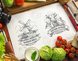 Сильные данные поддерживают дальнейший рост фунта