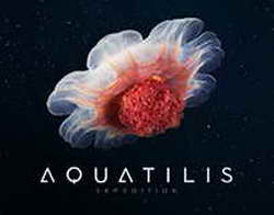 США и Катар призвали ЕС изменить директиву по проверке корпоративной устойчивости