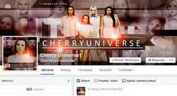 Виды шин: какие выбрать для безопасной и комфортной езды