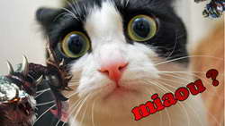 Фондовый рынок, Daily history за 20 ноября 2025 г.